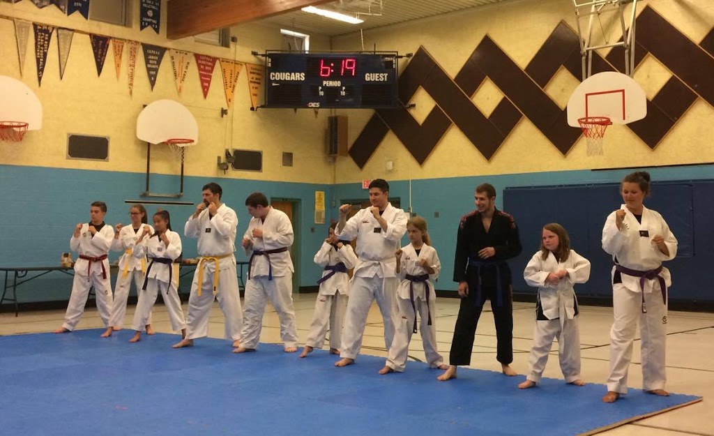 Phoenix Martial Arts | 39261 Fingal Line, St Thomas, ON N5P 3S5, Canada | Phone: (519) 614-6087