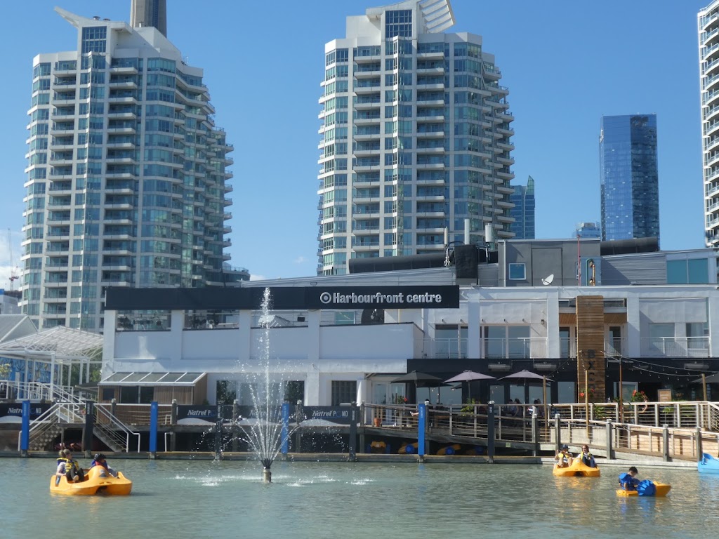 Harbourfront Centre Camps | 235 Queens Quay W, Toronto, ON M5J 2G8, Canada | Phone: (416) 973-4093