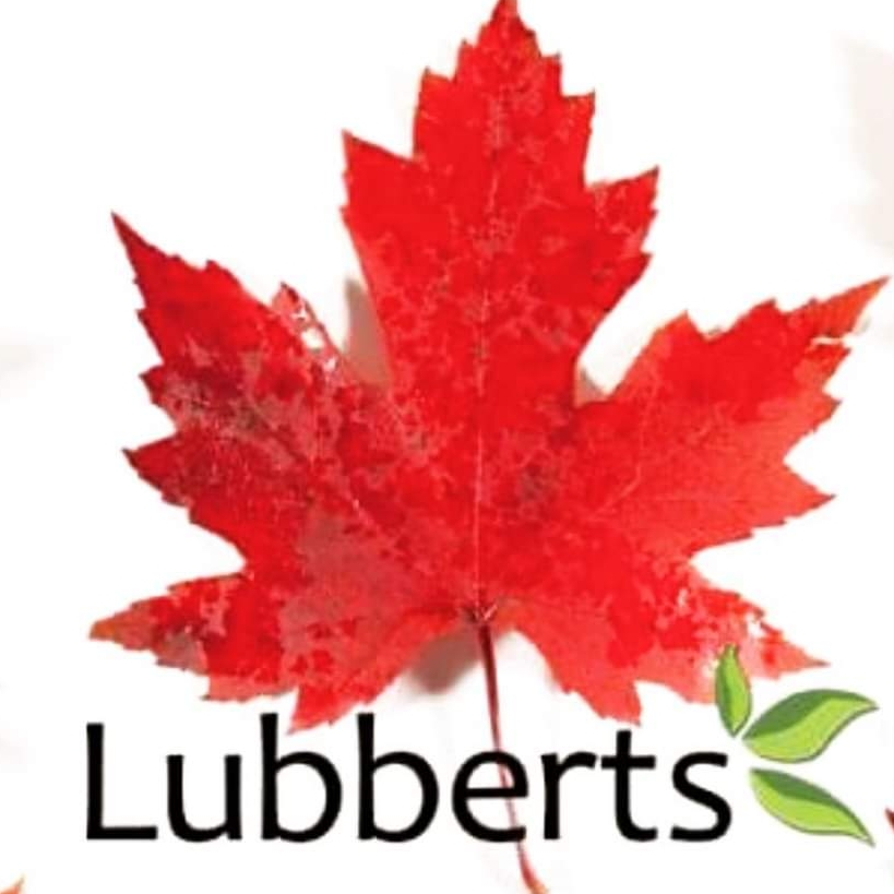 Lubberts Landscaping & Maintenance Ltd. | 7051 No 6 Rd, Richmond, BC V6W 1C9, Canada | Phone: (604) 273-4944