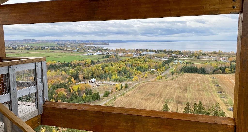 Camp Musical du Saguenay-Lac-St-Jean | 1589 QC-169, Métabetchouan-Lac-à-la-Croix, QC G8G 1A9, Canada | Phone: (418) 349-2085