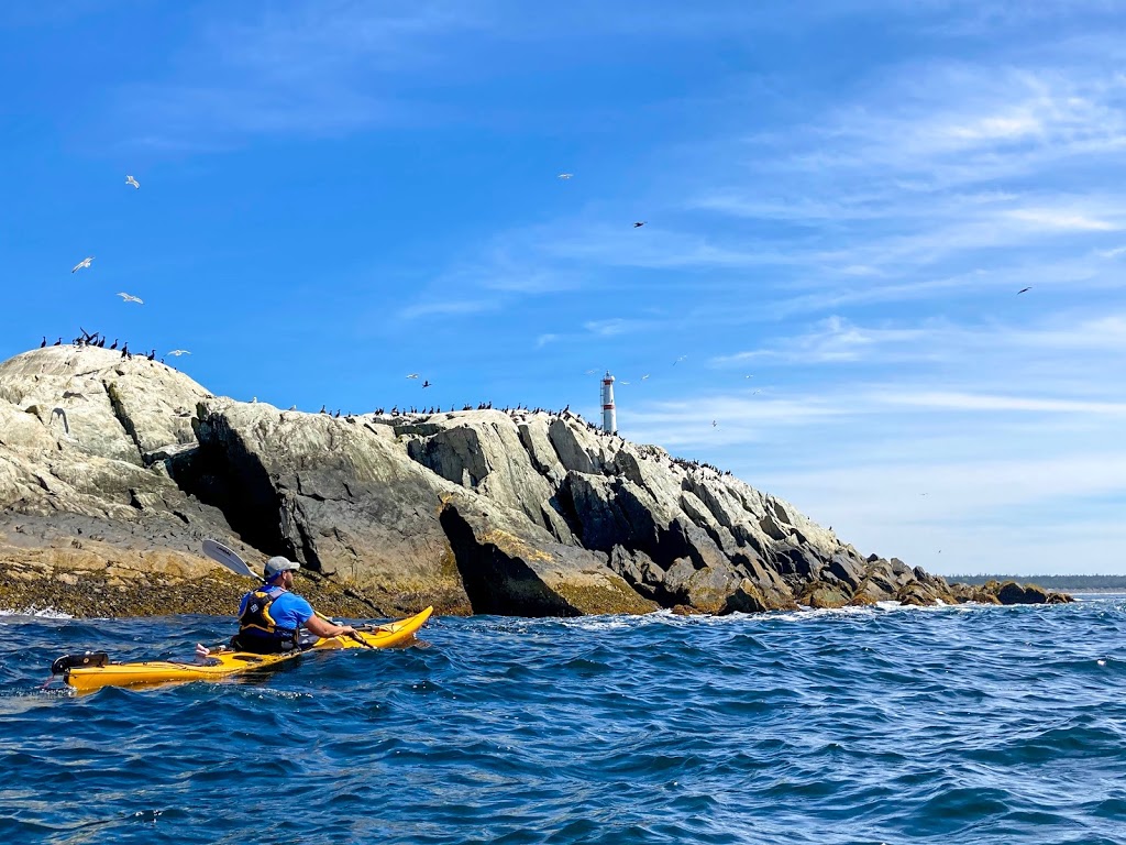 Coastal Adventures | 84 Masons Point Rd, Tangier, NS B0J 3H0, Canada | Phone: (877) 404-2774