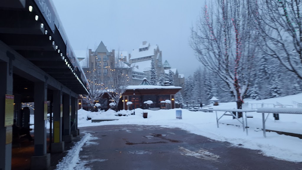 Whistler Home Holidays Inc | 3114 Tyrol Crescent, Whistler, BC V0N 1B3, Canada | Phone: (604) 938-9256