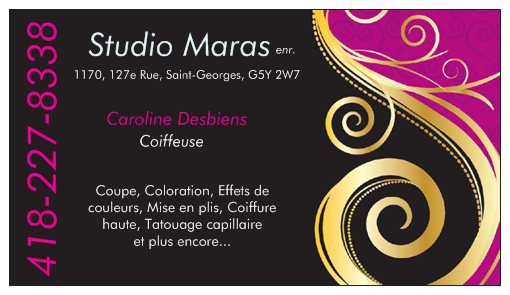 Studio Maras Enr | 1170, 127E rue, Saint-Georges, QC G5Y 2W7, Canada | Phone: (418) 227-8338