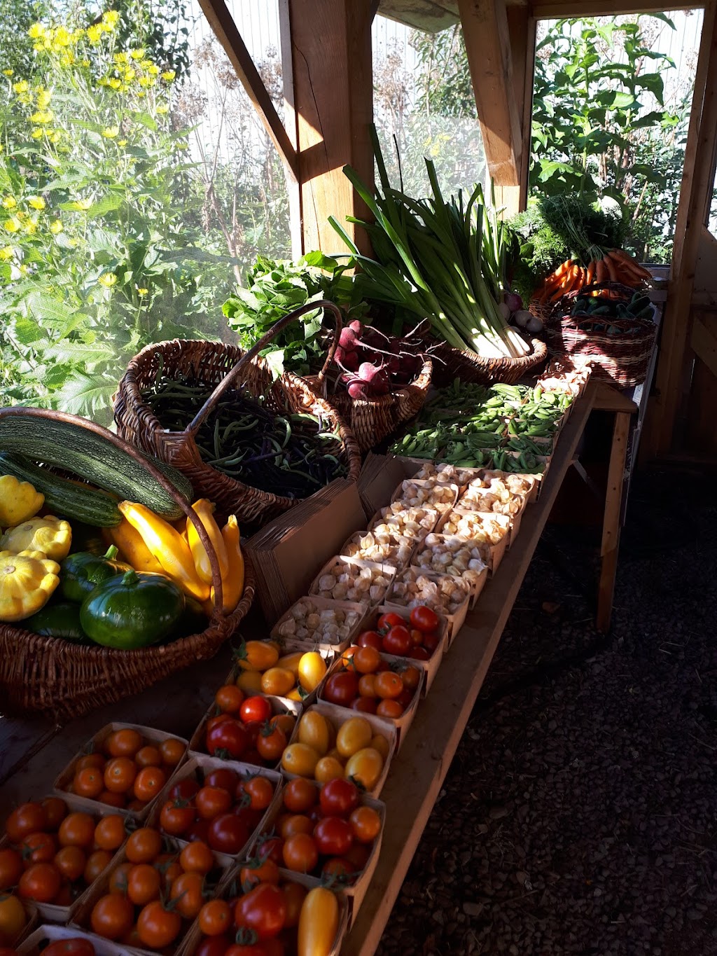 Le Jardin du Banquet | Rang du Mississipi, Saint-Germain-de-Kamouraska, QC G0L 3G0, Canada | Phone: (418) 551-7244