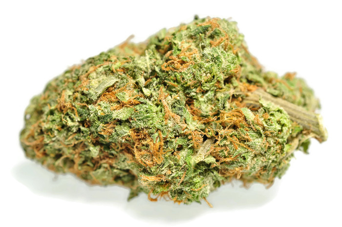 Candelivery Online Dispensary | 125 The Queensway #15363, Etobicoke, ON M8Y 0B4, Canada | Phone: (647) 631-1704