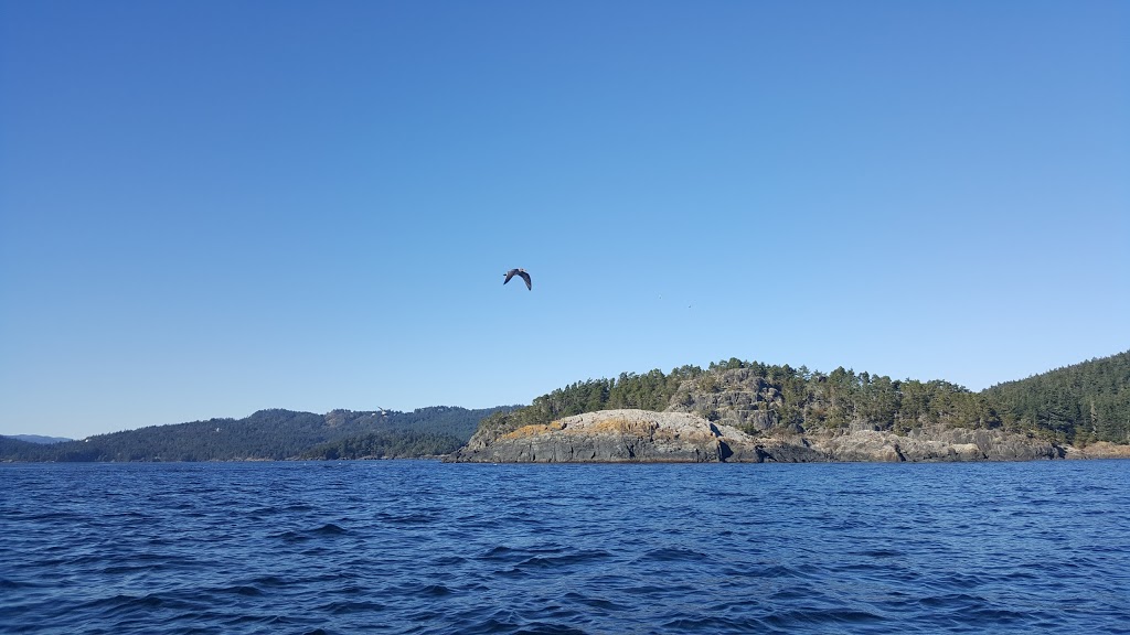 Sand Dollar Pools | 925 Pedder Bay Dr, Victoria, BC V9C 4H1, Canada