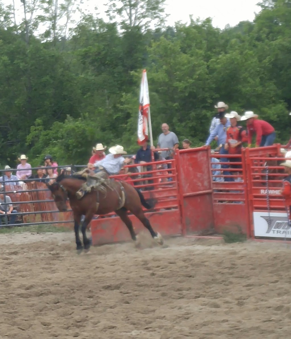 Roseneath Pro Rodeo | 9059-9123 45, Roseneath, ON K0K 2X0, Canada | Phone: (905) 352-3778