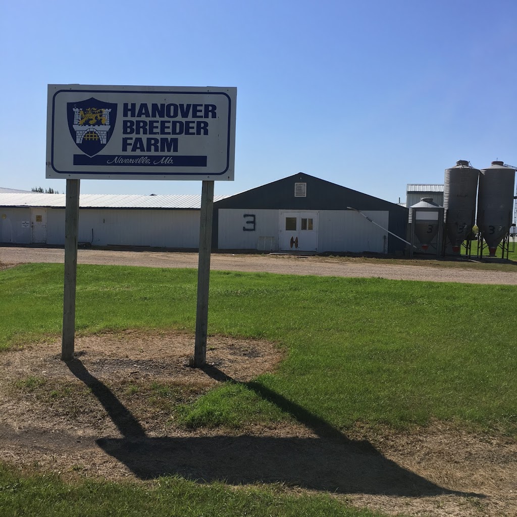 Hanover Breeder Farms Inc. | Hanover, MB R0A 1E0, Canada | Phone: (204) 317-3624