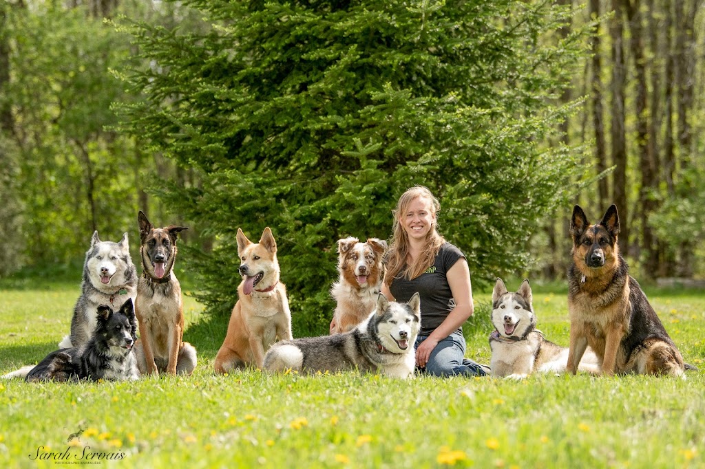 Équi-Canin | 11840 Chem. de la Rivière du N, Mirabel, QC J7N 1H8, Canada | Phone: (450) 275-1772