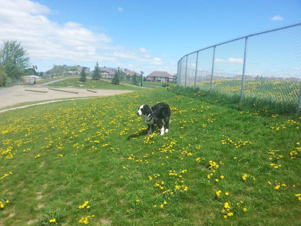 Brossard Dog Park | 4000 Boulevard Rome, Brossard, QC J4Y 3H8, Canada