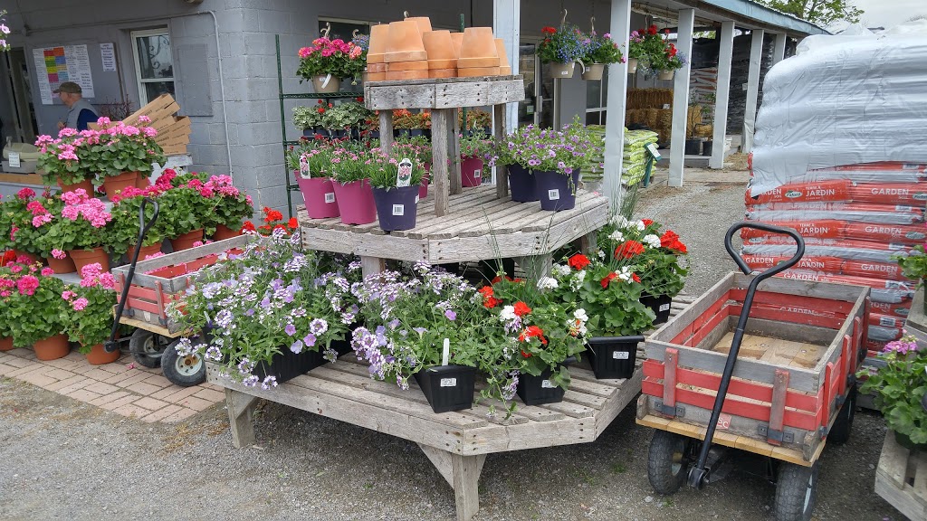 Niagara Nurseries | 1643 Niagara Regional Rd 81, St. Catharines, ON L2R 6P7, Canada | Phone: (905) 682-4783