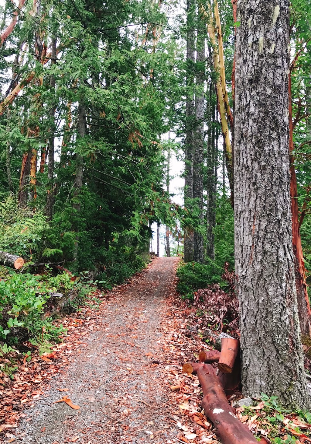 Stocking Lake Regional Park | 0A8, Stocking Lake Trail, Ladysmith, BC V9G 2C4, Canada | Phone: (250) 746-2500