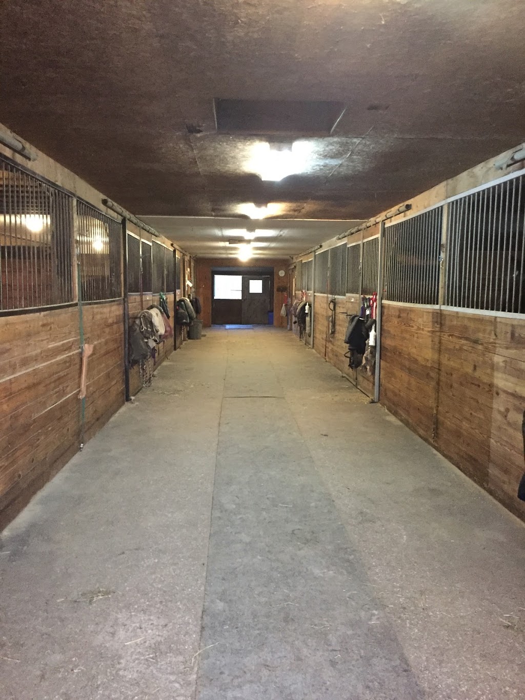 CanterBerry Stables | 8122 Eramosa Garafraxa Townline, Fergus, ON N1M 2W5, Canada | Phone: (519) 362-4889