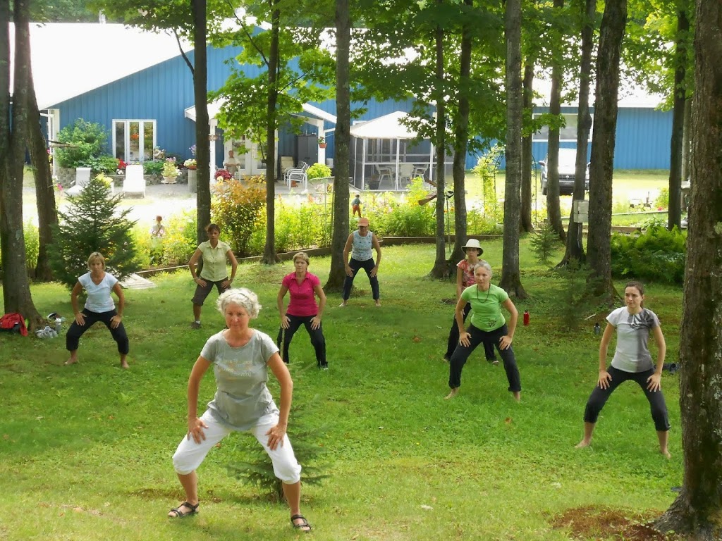 Etre en Mouvement Qi Gong | 6444 Rue Lescarbot, Montréal, QC H1M 1M7, Canada | Phone: (514) 995-4404