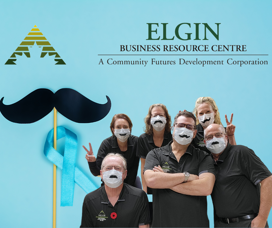 Elgin Business Resource Centre | 300 S Edgeware Rd, St Thomas, ON N5P 4L1, Canada | Phone: (519) 633-7597