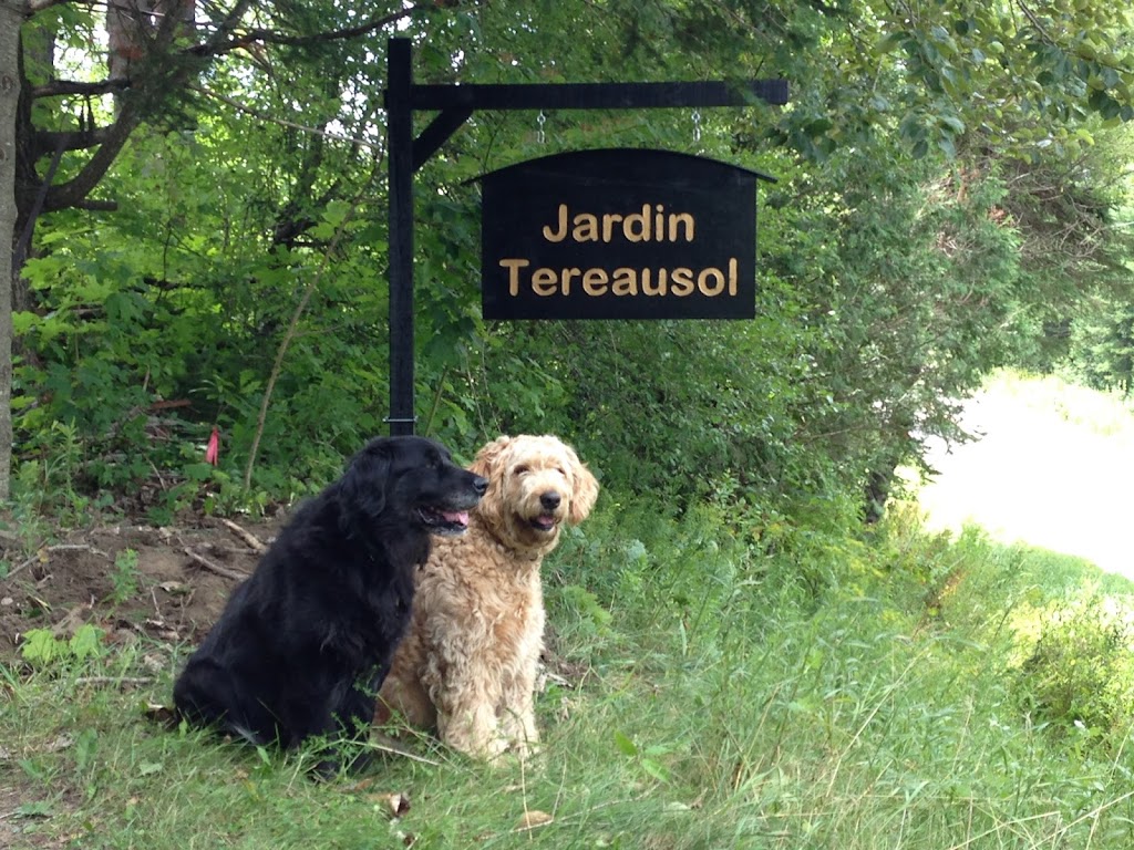 Tereausol Farm (Organic vegetables and fruits) | 306 Rang St Louis, Saint-André-Avellin, QC J0V 1W0, Canada | Phone: (514) 915-1888