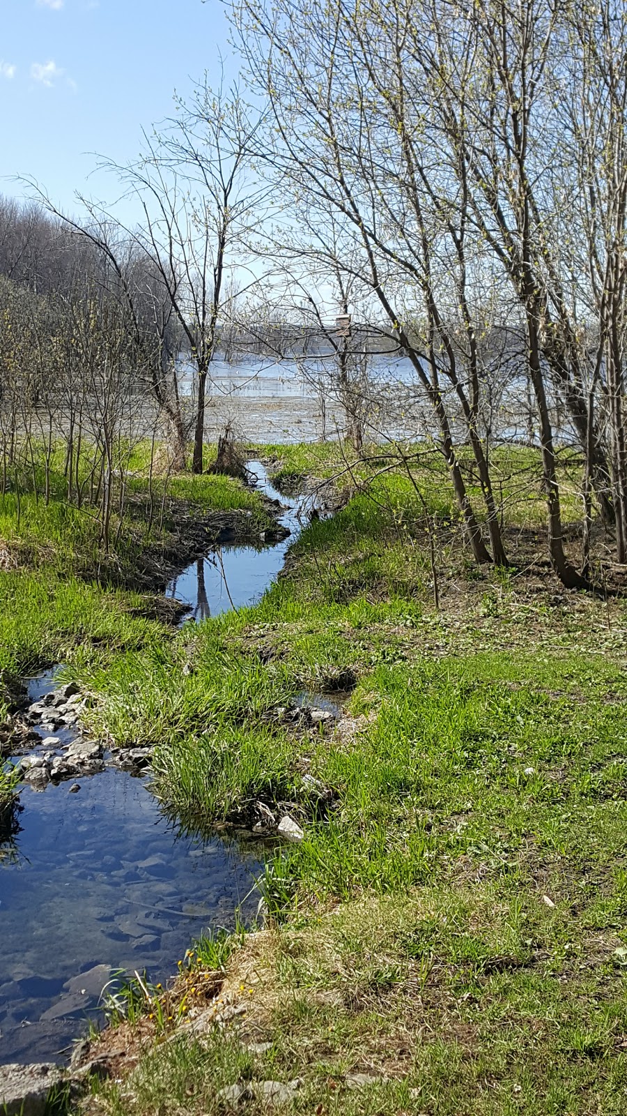 François Dupont Park | Chatelaine Village, Ottawa, ON K1E 1C8, Canada | Phone: (613) 580-2400