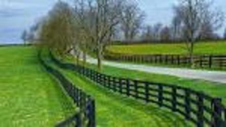 A P Turner Fencing | 3818 3rd Line, Bradford, ON L0L 1L0, Canada | Phone: (905) 775-7472