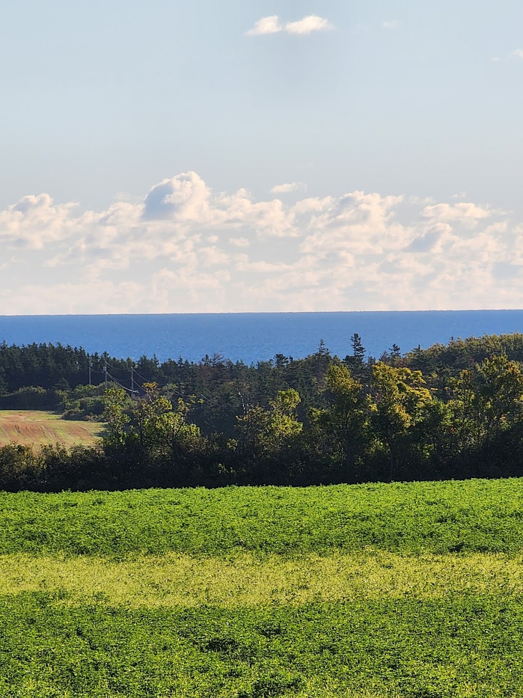 Orchard View Cottages | 7644 Cavendish Rd, North Rustico, PE C0A 1N0, Canada | Phone: (902) 963-2157