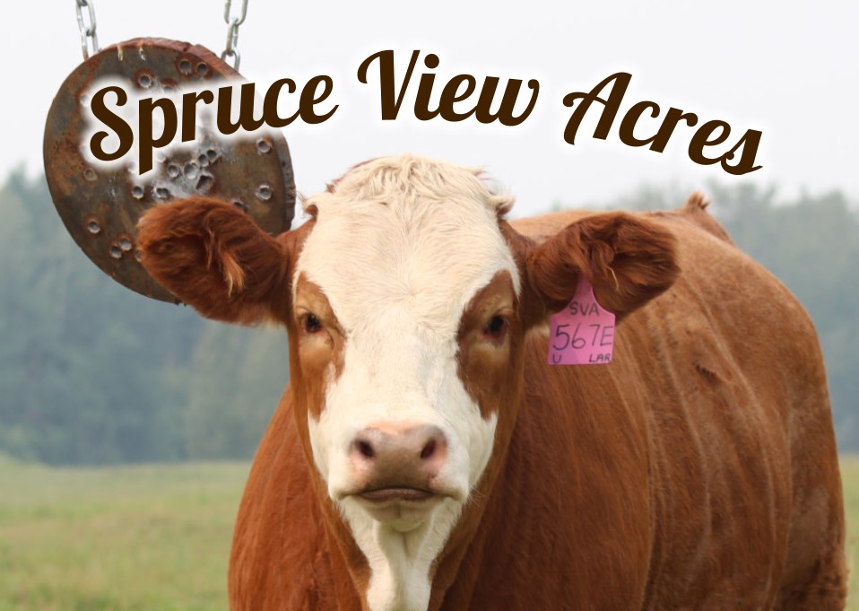 Spruce View Acres | Camrose, AB T0B 0G0, Canada | Phone: (780) 679-0713