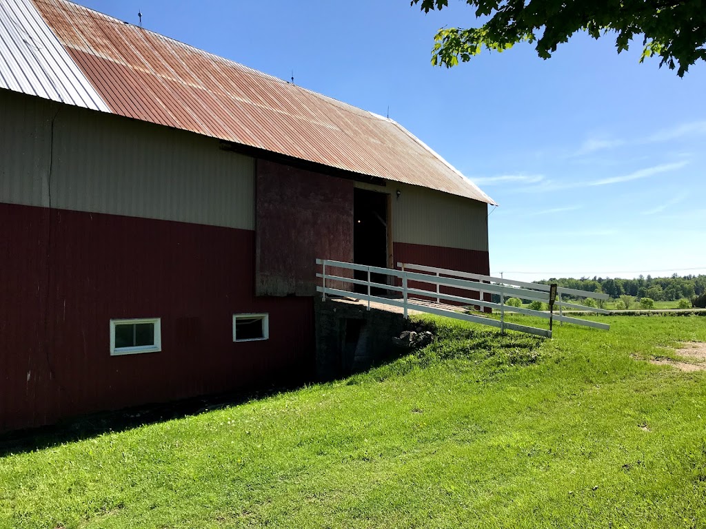 Brylee Farm | 524 QC-317, Thurso, QC J0X 3B0, Canada | Phone: (819) 985-3882