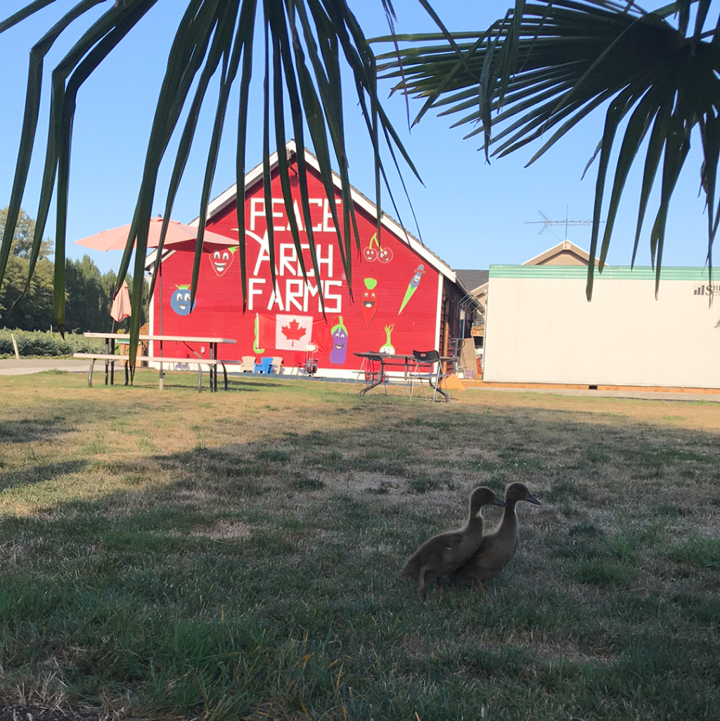 Peace Arch Farm Market | 17358 16 Ave, Surrey, BC V3Z 9M5, Canada | Phone: (778) 999-9200