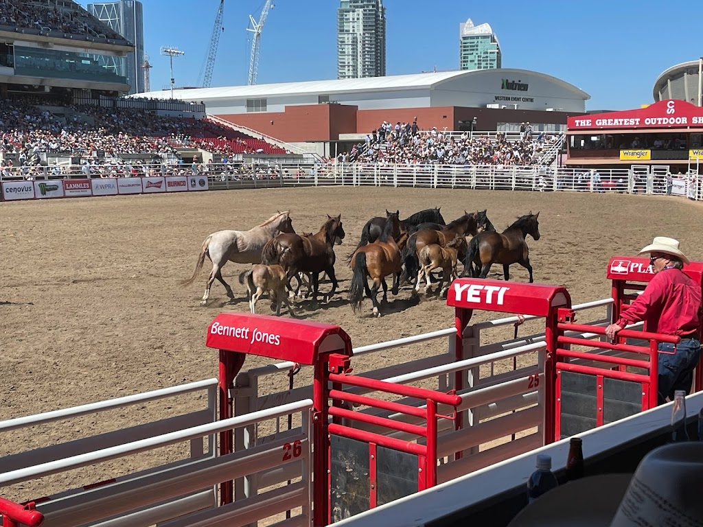 Calgary Stampede | 1410 Olympic Way SE, Calgary, AB T2G 2W1, Canada | Phone: (403) 261-0101