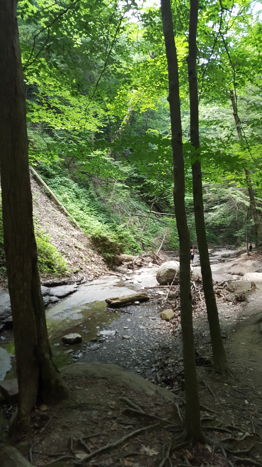 Chestnut Ridge Park Eternal Flame Trail | Chestnut Ridge Rd, Orchard Park, NY 14127, USA