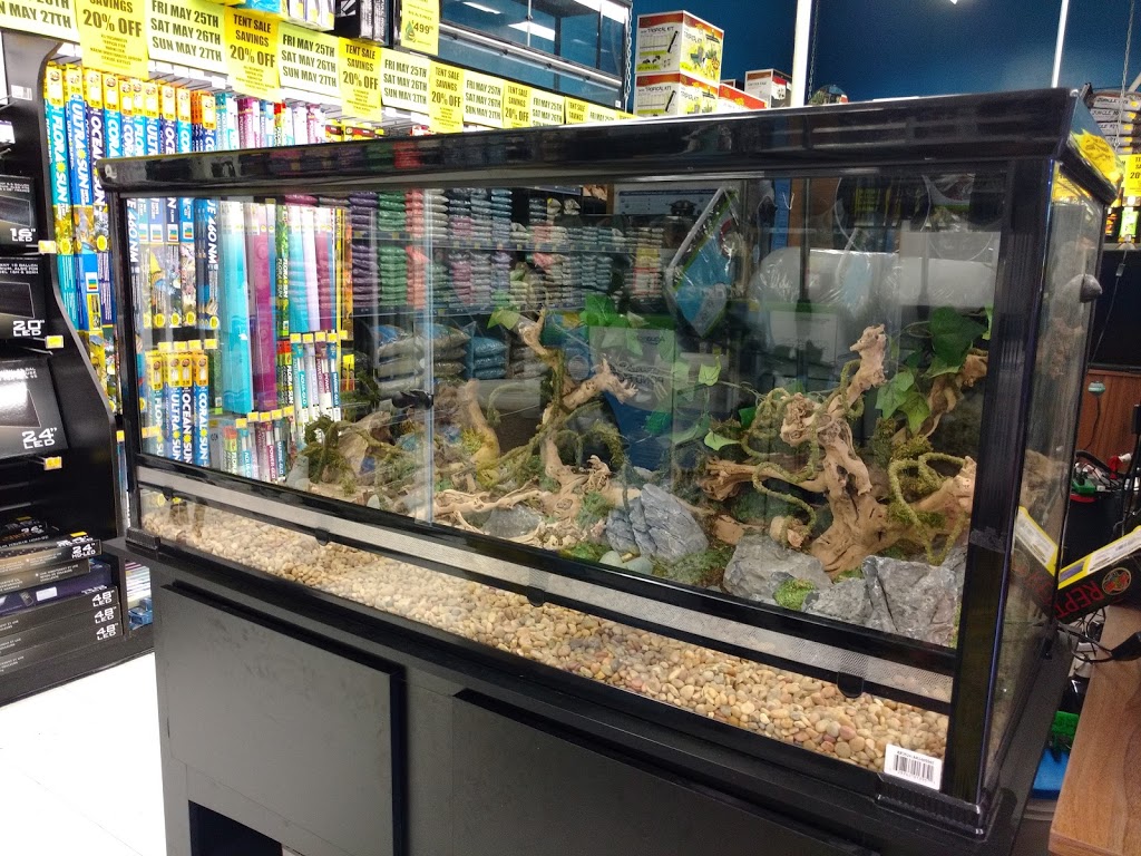 Big Als Aquarium Supercentres - Whitby | 1916 Dundas St E, Whitby, ON L1N 2L6, Canada | Phone: (905) 725-3474