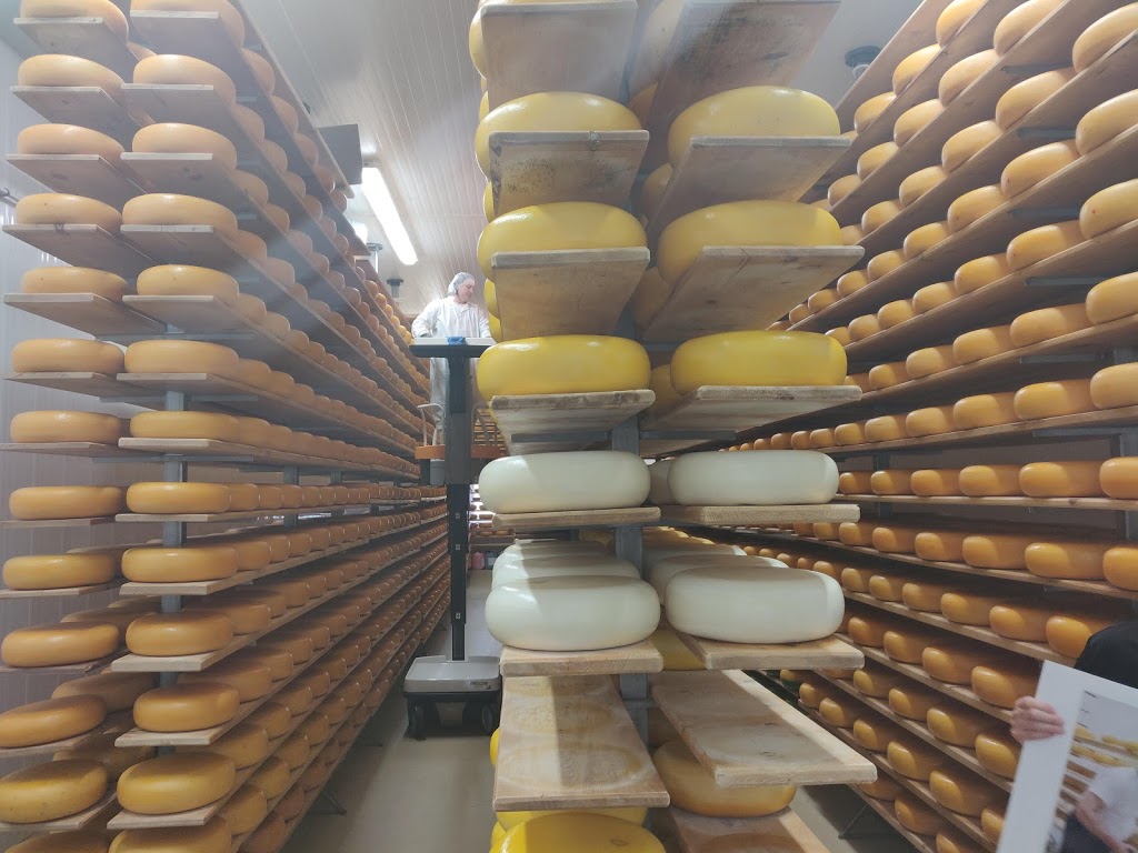Mountainoak Cheese | 3165 Huron Rd, New Hamburg, ON N3A 3C3, Canada | Phone: (519) 662-4967