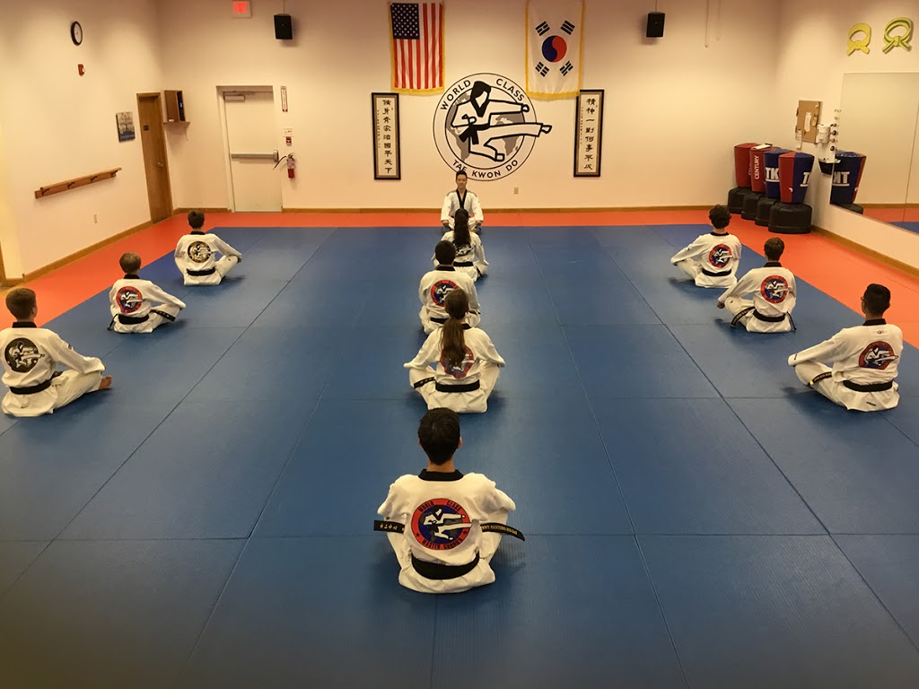 Master Chongs World Class Tae Kwon Do | 6050 South Park Ave #200, Hamburg, NY 14075, USA | Phone: (716) 646-6600