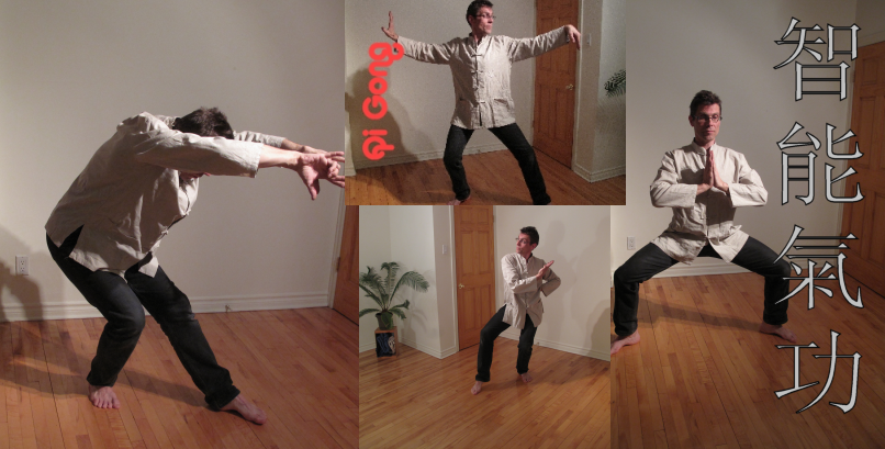 FX Qi Gong | 6615 34e Avenue, Montréal, QC H1T 3B3, Canada | Phone: (514) 257-6162