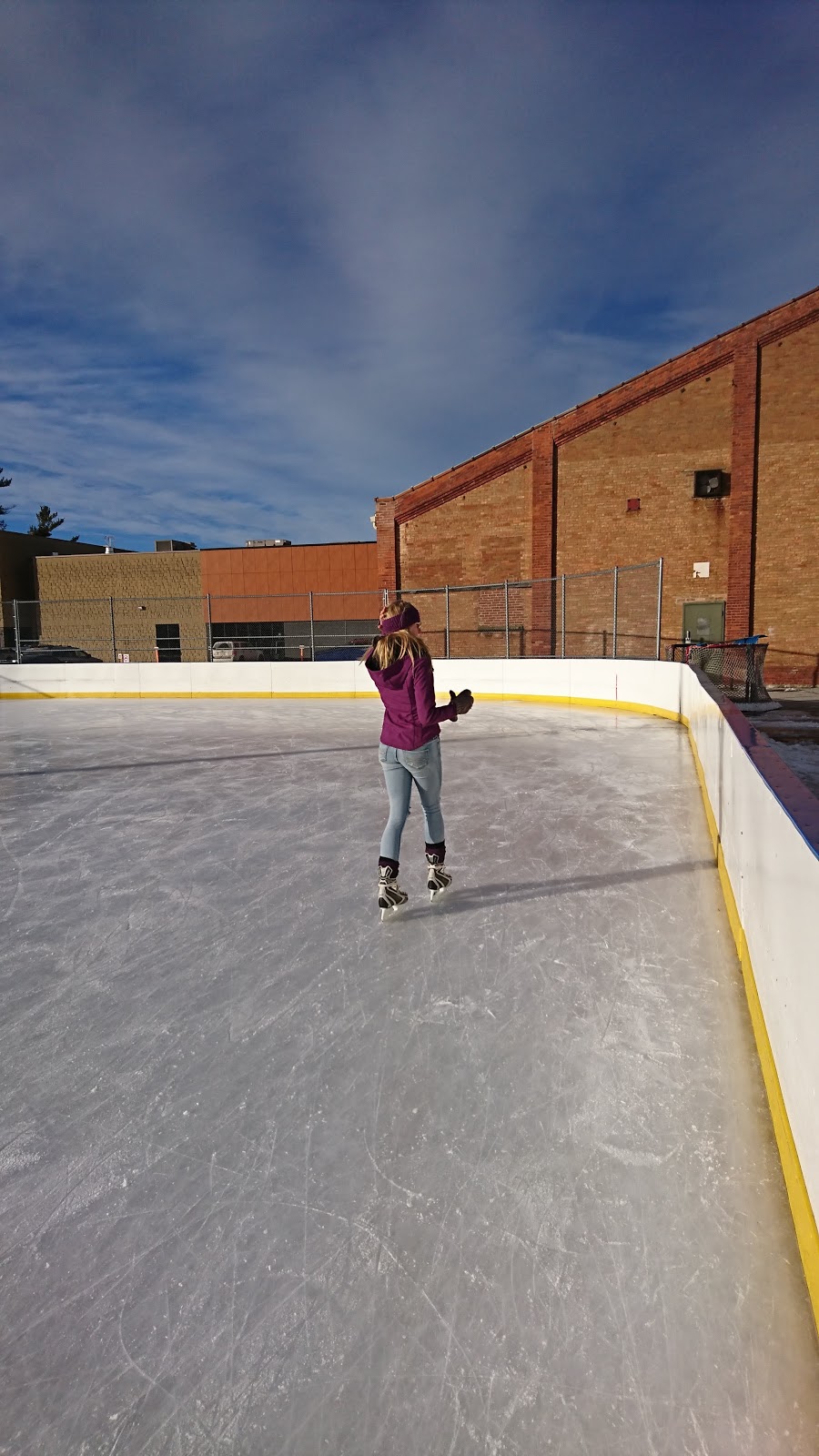 Collingwood Outdoor Rink | 200 Hume St, Collingwood, ON L9Y 1A1, Canada | Phone: (705) 444-2500 ext. 3382