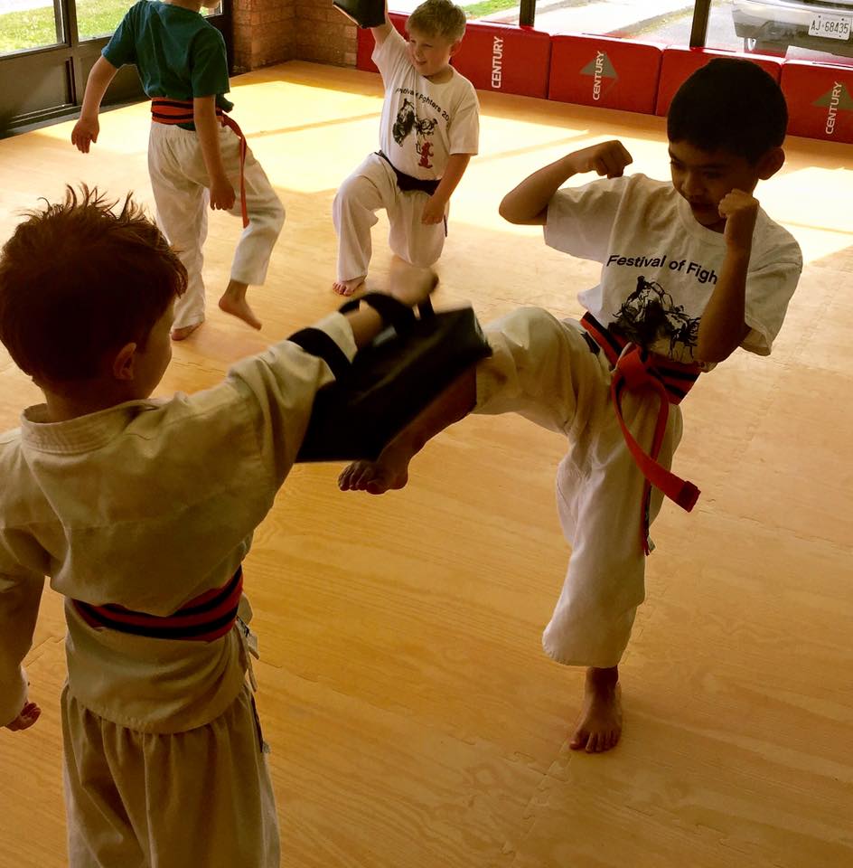 Durham Modern Martial Arts | 605 Brock St N Unit #2, Whitby, ON L1N 8R2, Canada | Phone: (905) 493-1044