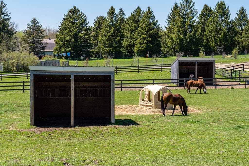 Lynden View Equestrian | 3887 Weimar Line, Wellesley, ON N0B 2T0, Canada | Phone: (519) 820-0513