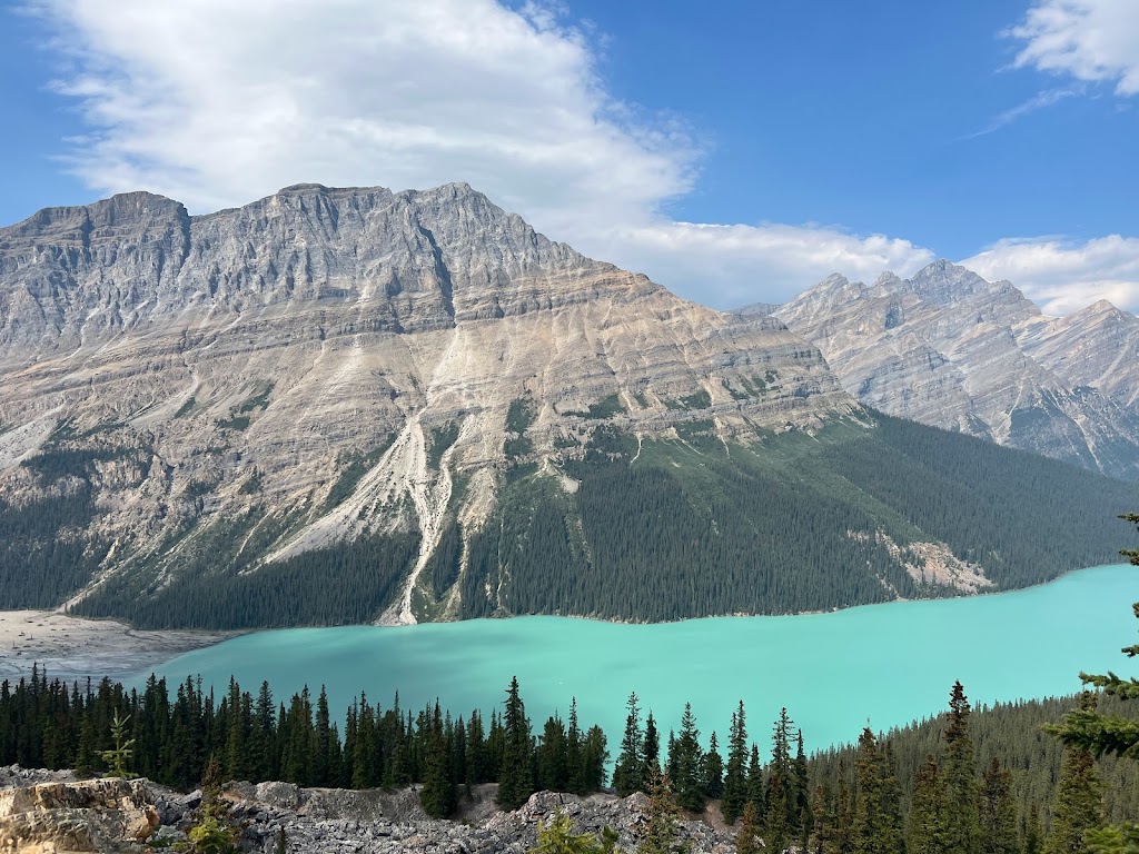 Bow Summit and Peyto Lake | Icefields Pkwy, Jasper, AB T0L 1E0, Canada | Phone: (403) 522-3833