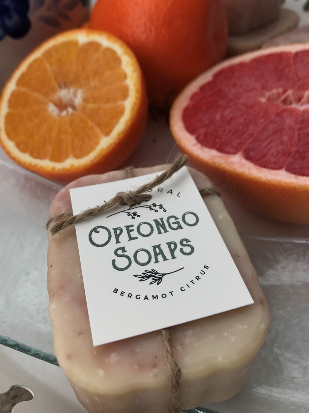 Opeongo Soaps | 108 Crimson Maple Rd, Eganville, ON K0J 1T0, Canada | Phone: (613) 633-3134