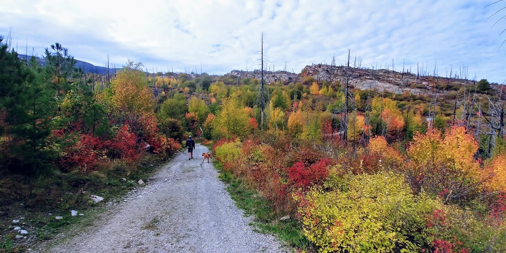 Johns Family Nature Conservancy | 6970 Chute Lake Rd, Kelowna, BC V1W 4L5, Canada | Phone: (250) 763-4918