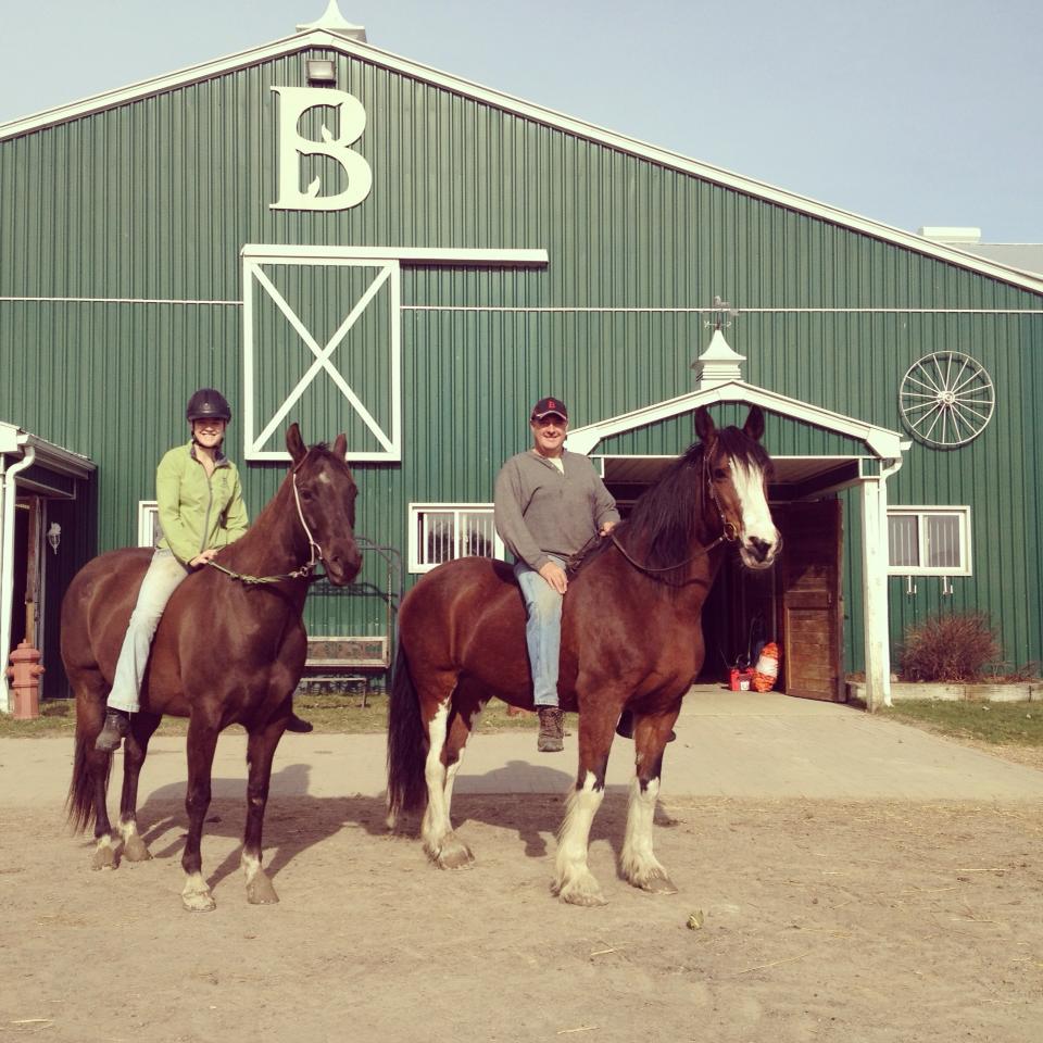 Amplify Stables | 1169 Concession Rd 4, Loretto, ON L0G 1L0, Canada | Phone: (905) 291-3663