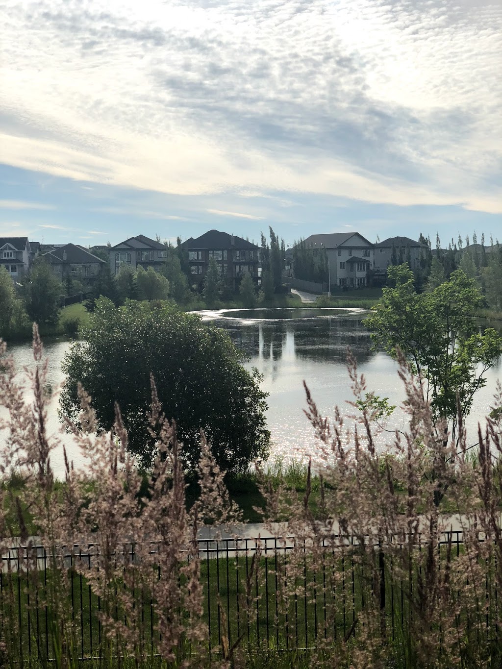 Mactaggart Pond | 6059 Maynard Way NW, Edmonton, AB T6R 0H9, Canada