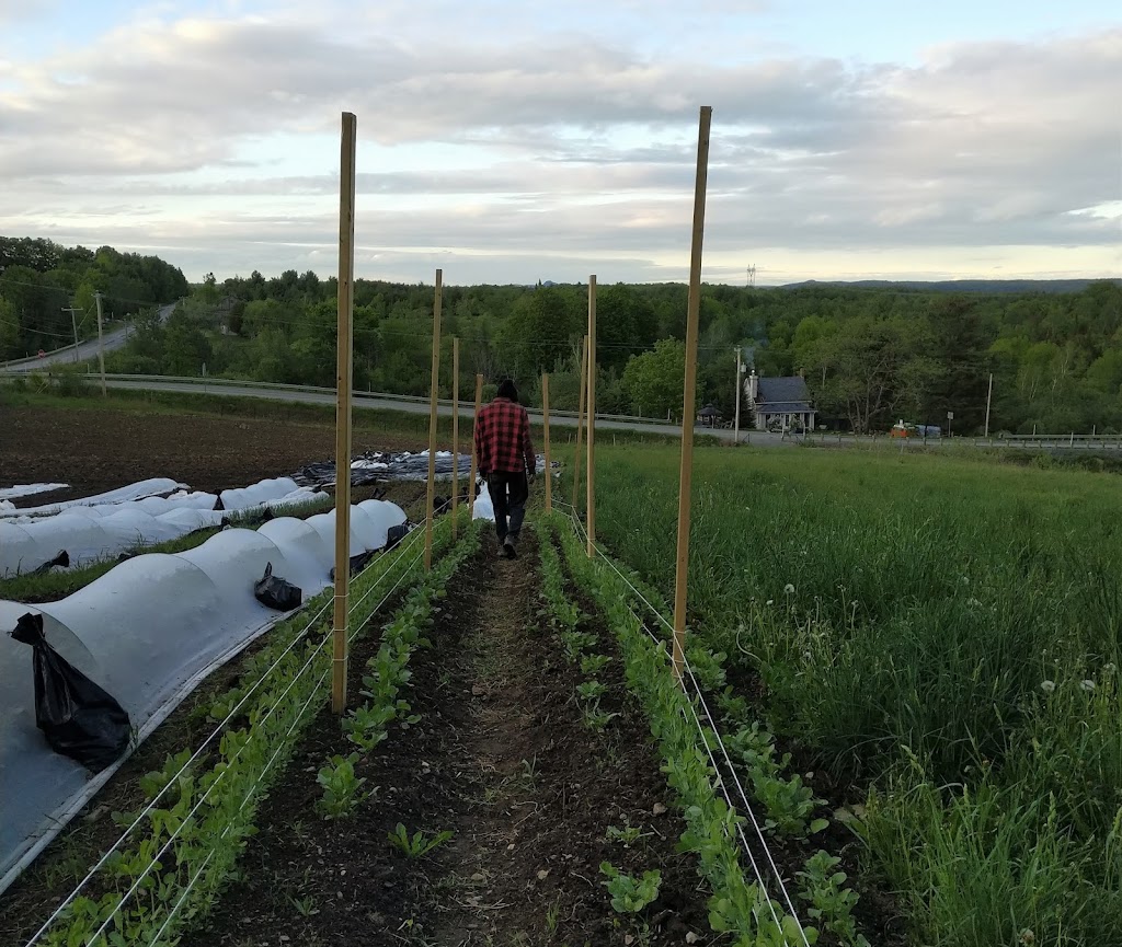 Ferme La valse des saisons s.e.n.c. | 780 QC-243, Melbourne, QC J0B 1X0, Canada | Phone: (819) 380-3254