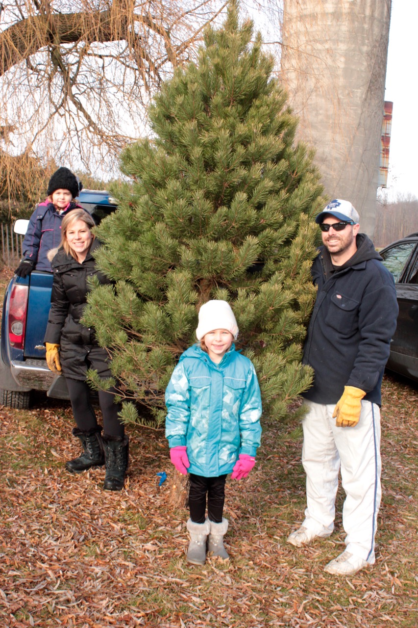 Robinson Christmas Trees | 5873 8 Line E RR#1, Ariss, ON N0B 1B0, Canada | Phone: (519) 824-8399