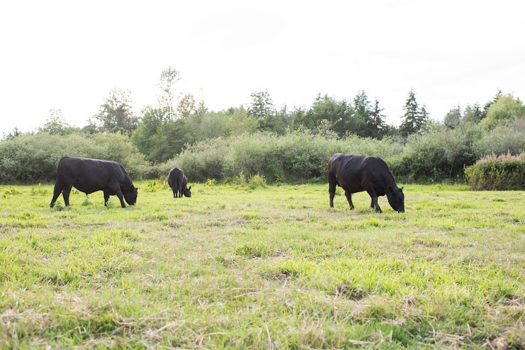 Central Park Farms | 225 216 St, Langley Twp, BC V2Z 1R7, Canada | Phone: (604) 728-2374