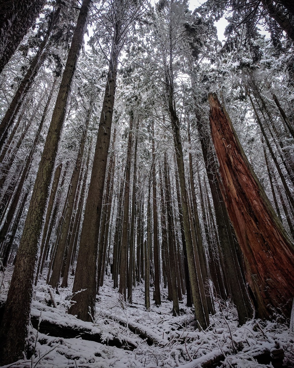 Chuckanut Mountain / Pine & Cedar Lakes County Park | Pine and Cedar Lakes Trail, Bellingham, WA 98229, USA | Phone: (360) 733-2900