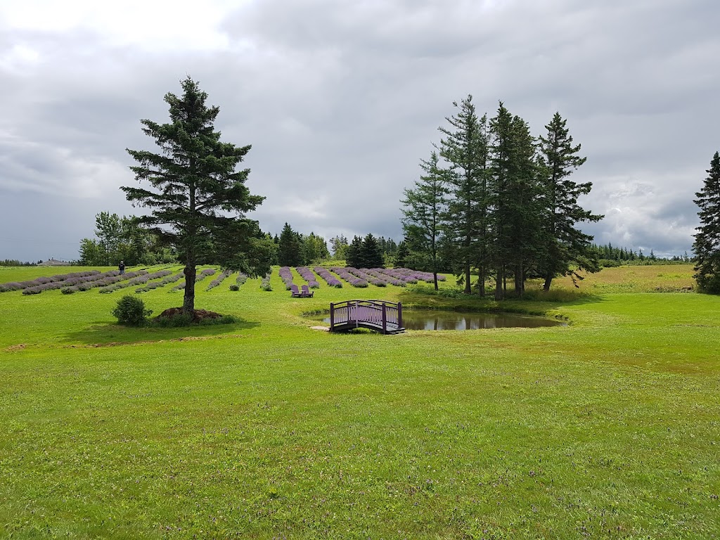 Seafoam Lavender Company & Gardens | 3768 Highway 6 (Seafoam), River John, NS B0K 1N0, Canada | Phone: (902) 536-3366