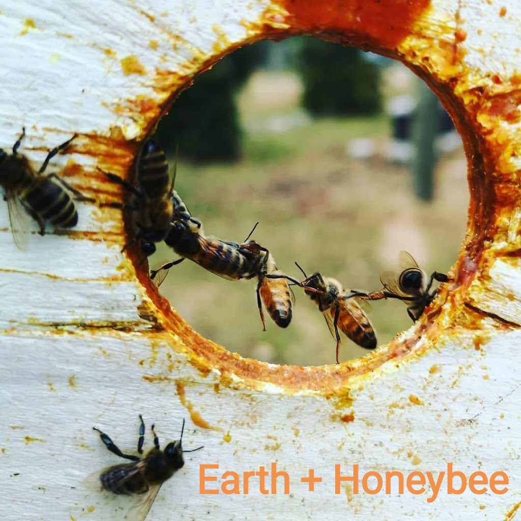 Earth + Honeybee | 22342 Clarke Rd, Ilderton, ON N0M 2A0, Canada | Phone: (519) 494-8070