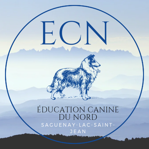 Éducation canine du Nord | 1531 Bd de Tadoussac, Chicoutimi, QC G7G 4X9, Canada | Phone: (581) 235-1382