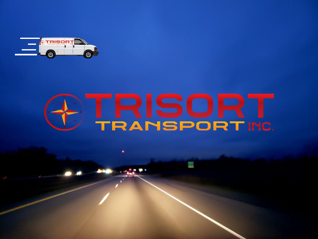 Trisort Transport Inc | 14 Panorama Crescent, Brampton, ON L6S 3T9, Canada | Phone: (416) 821-3262