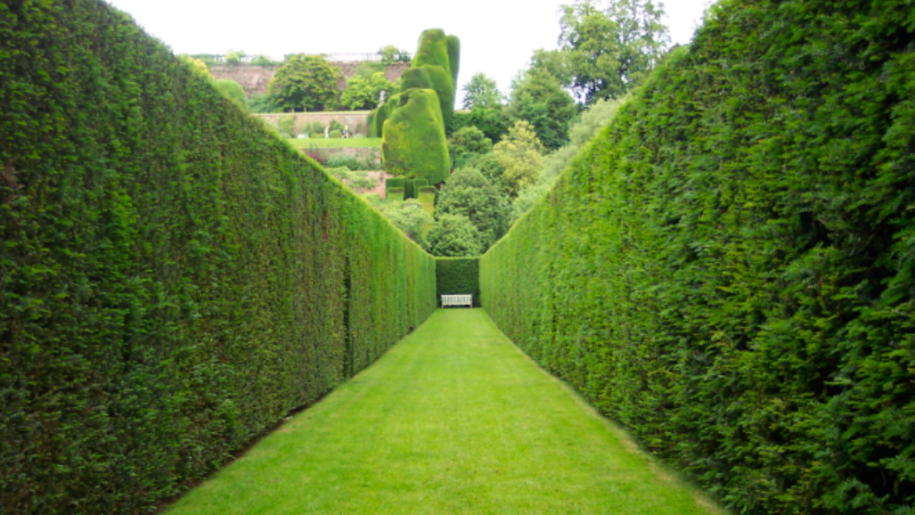 Great West Hedge trimming,tree care | 6322 171a St, Surrey, BC V3S 7G4, Canada | Phone: (604) 644-1510