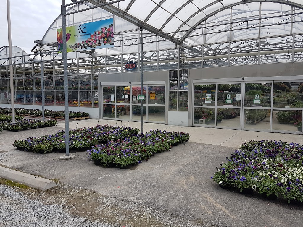 Witzkes Greenhouses Ltd. | 1621 Pebblestone Rd, Courtice, ON L1E 2H1, Canada | Phone: (905) 436-9204